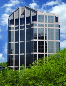 Wyatt Capital Case Studies: Forest Investment Associates, Inc